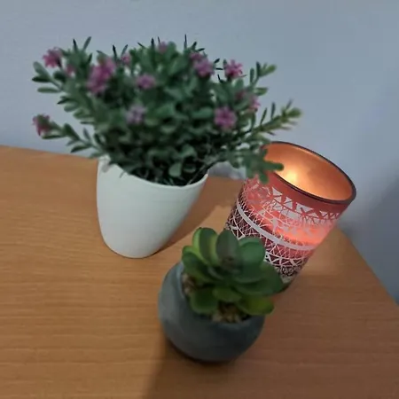 公寓 Lydia's Cozy House 帕拉代西翁