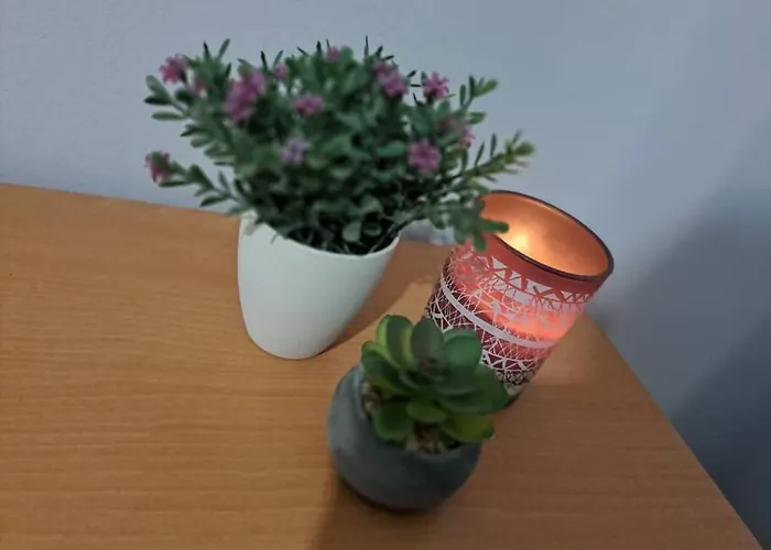 아파트 Lydia's Cozy House 페러데이션